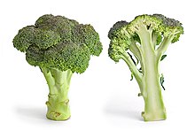 Broccoli Broccoli